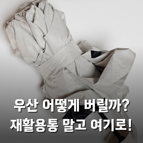 우산 버리는 법 자동우산 장우산 배출 방법 총정리