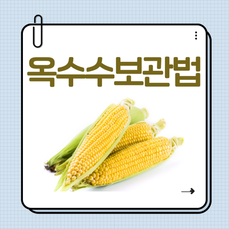 옥수수 보관법 냉장 냉동 보관기간까지 정리