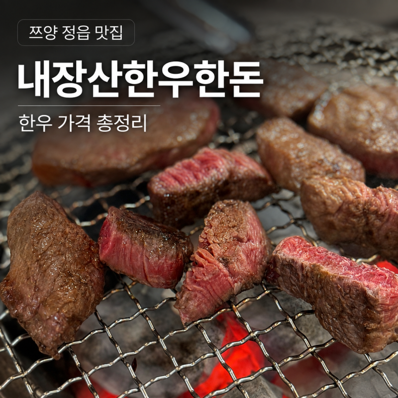 쯔양 정읍 내장산한우한돈 한우 가격 육사시미 부위별 가격 상차림비 영업시간 총정리
