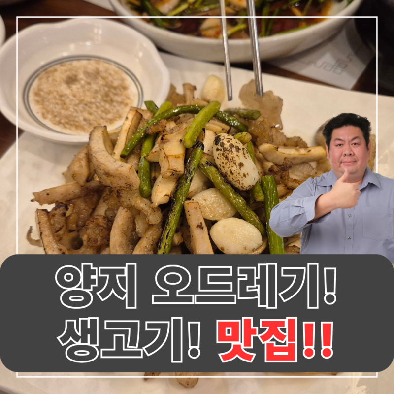 대구 중구, 생고기 양지오드레기 맛집!반월당 생고기(평점 9.6점)