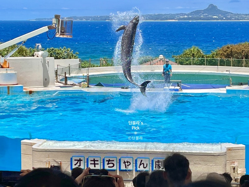 오키나와 렌트카 나하공항 렌터카 추천 가격 비교 이용 방법