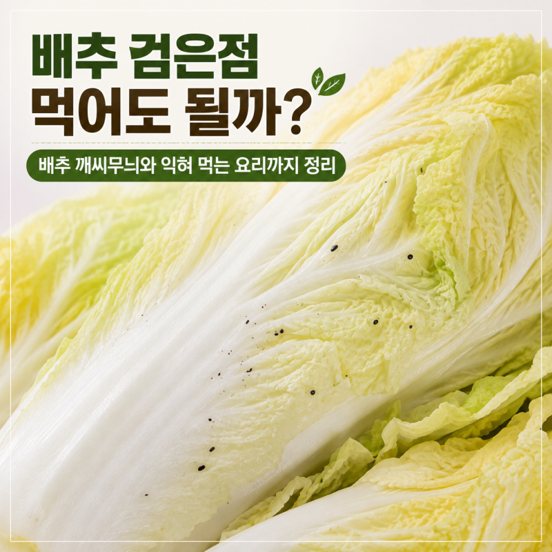 배추 검은점 정체는? 씻어도 안 없어지는 까만 점 먹어도 되는지 확인