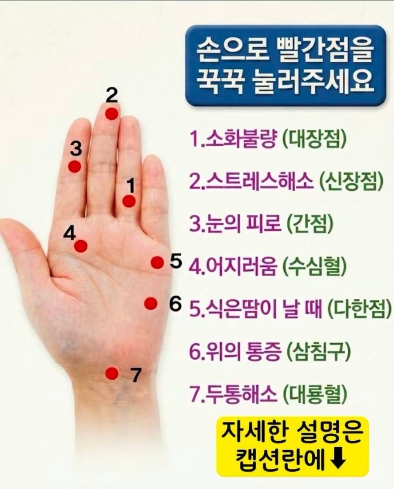 [건강] 손바닥 지압점별 권장 횟수 및 시간 1. 소화불량 (대장점) 지압 시간: 1회 누를 때 3~5초....