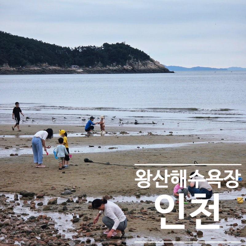 왕산해수욕장 주차 꿀팁부터 해루질 포인트, 애견 동반까지 총정리!