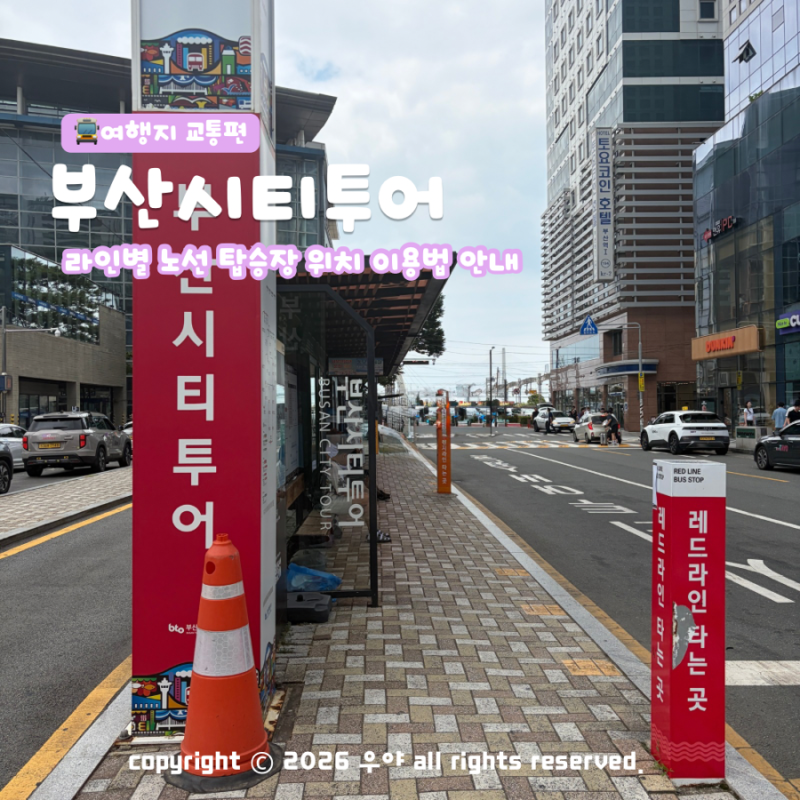 부산시티투어버스 레드 오렌지 그린 라인 시간표 탑승장 위치 야경 투어 요금은?