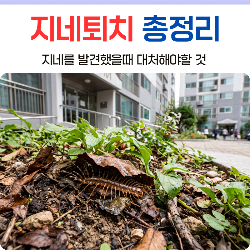 울산지네퇴치 전원주택과 아파트 습격하는 지네기피제와 예방법 총정리