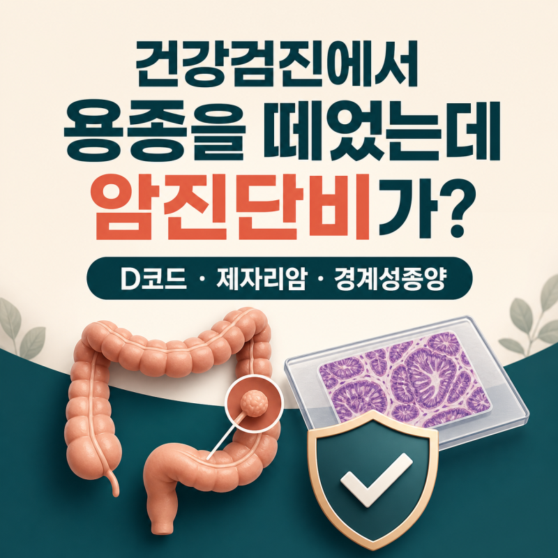 건강검진에서 용종을 떼었는데 암진단비가? D코드·제자리암·경계성종양 총정리