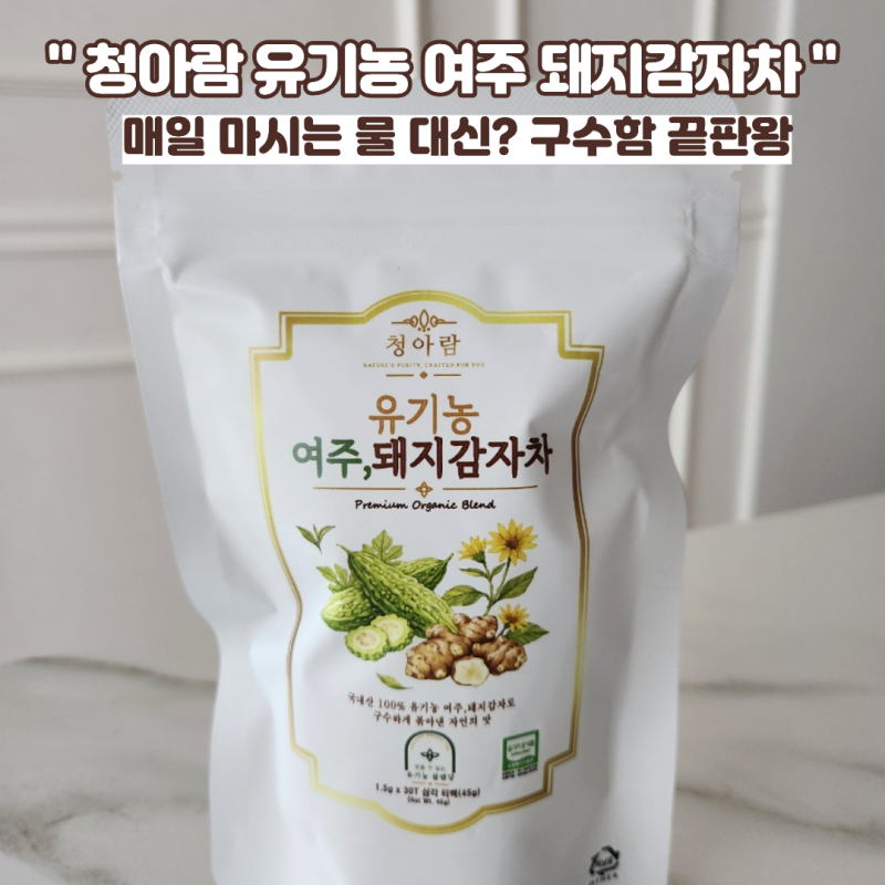 매일 마시는 물 대신? 구수함 끝판왕 ‘청아람 유기농 여주 돼지감자차’