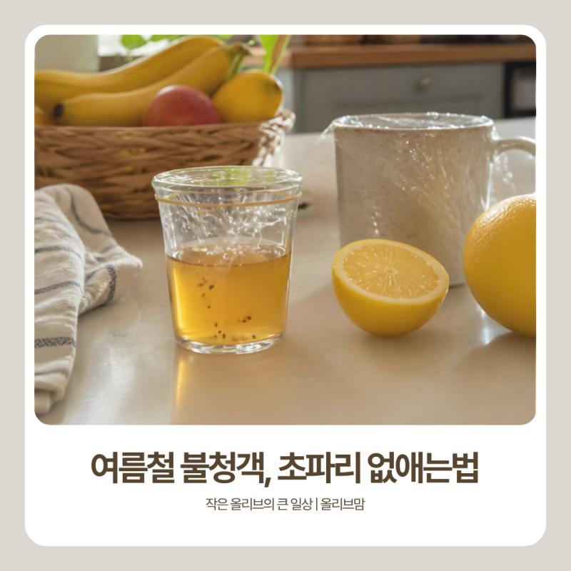 초파리 없애는법 총정리, 트랩만들기부터 퇴치와 예방법까지