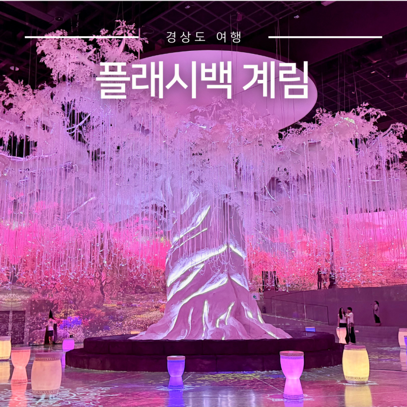 경주 플래시백 계림 할인 보문단지 실내 놀거리 미디어아트 전시
