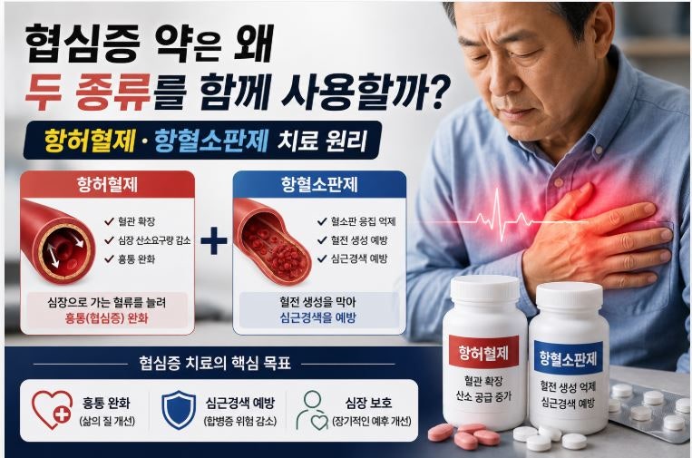 협심증 약은 왜 두 종류를 함께 사용할까? 항허혈제·항혈소판제 치료 원리