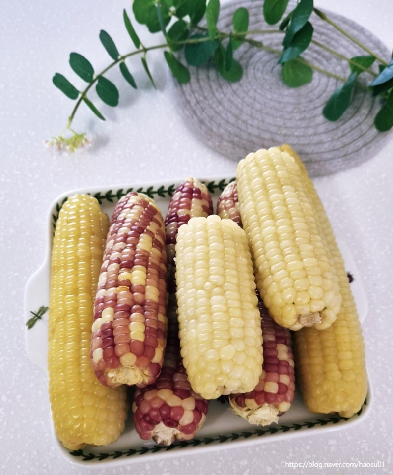 전기밥솥 옥수수 삶는법 압력솥으로 찰옥수수 맛있게 찌는 방법
