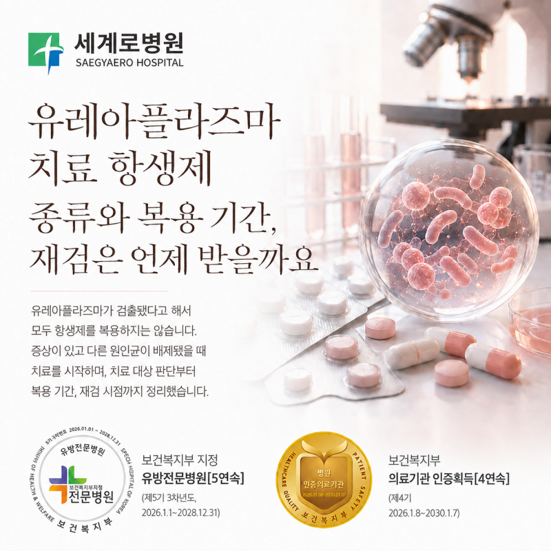유레아플라즈마 치료 항생제 종류와 복용 기간, 재검은 언제 받을까요