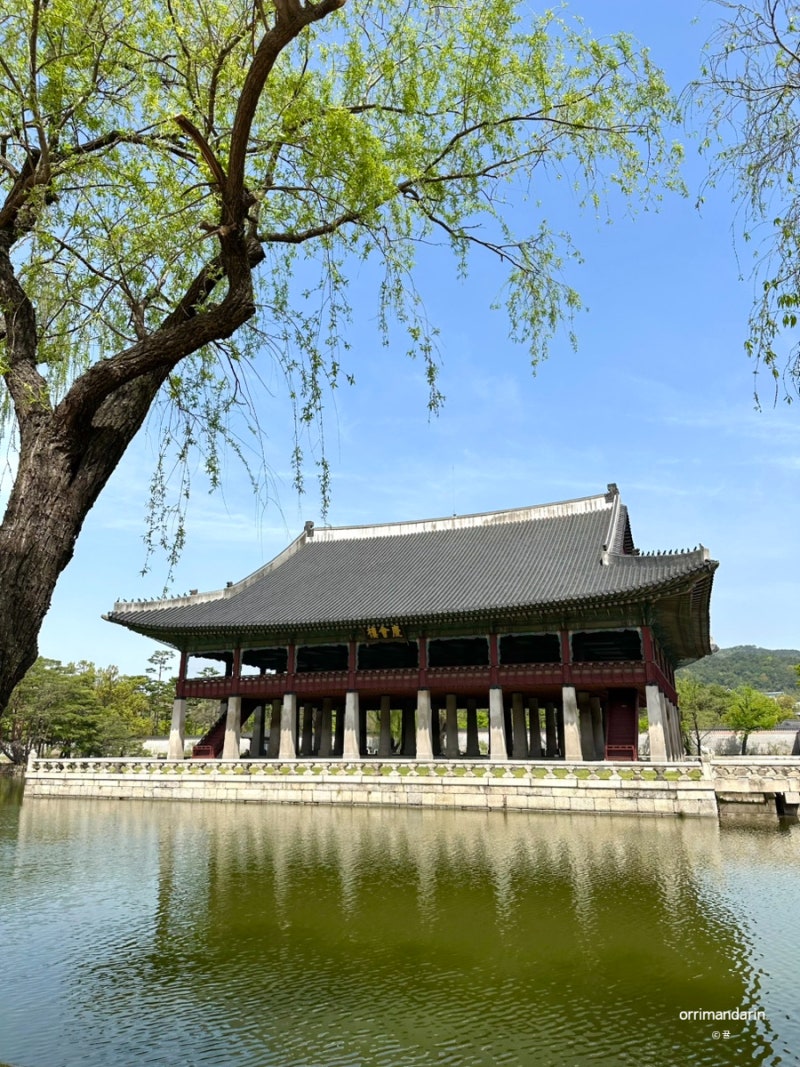 경복궁 알찬 40분 짧은 관람 코스 추천 (핵심 전각만 쏙쏙 보는 동선)