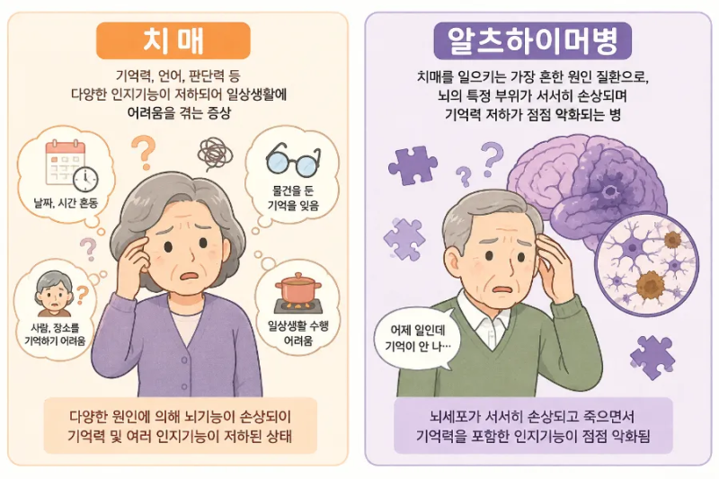 치매와 알츠하이머 차이, 같은 병일까요?
