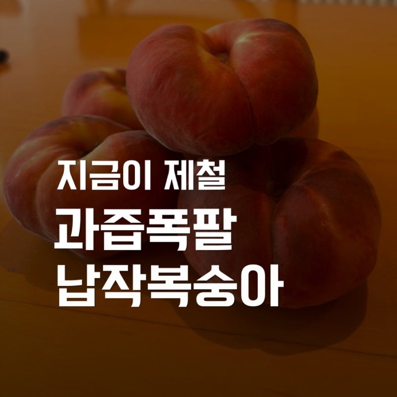 "지금이 제철" 거반도 납작복숭아 먹어본 후기 (맛 가격 먹는법)