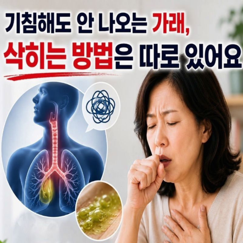 가래 삭히는법 가래가 계속 나올때 가래 없애는법