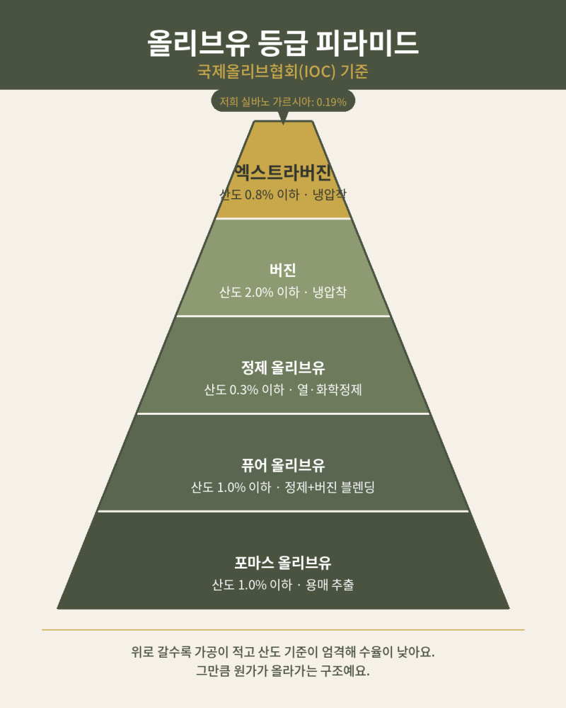 엑스트라버진 올리브유, 왜 이렇게 비싼가요?