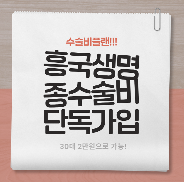 흥국생명 수술비플랜 종수술비 업셀링 30대 2만원 추천