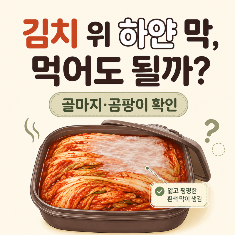 김치 위에 하얀 막이 생겼을 때 먹어도 될까? 골마지와 곰팡이 확인 기준