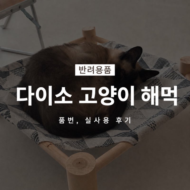 다이소 고양이 해먹 5천원의 행복 가성비 고양이용품 추천