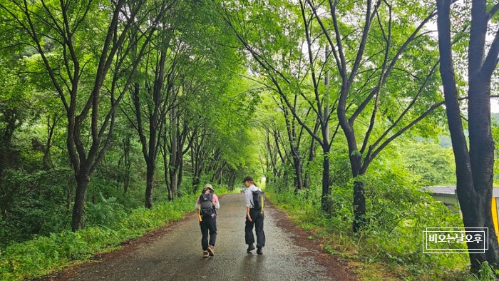 전북천리길 무주 예향천리 금강변마실길 2코스 사진 6