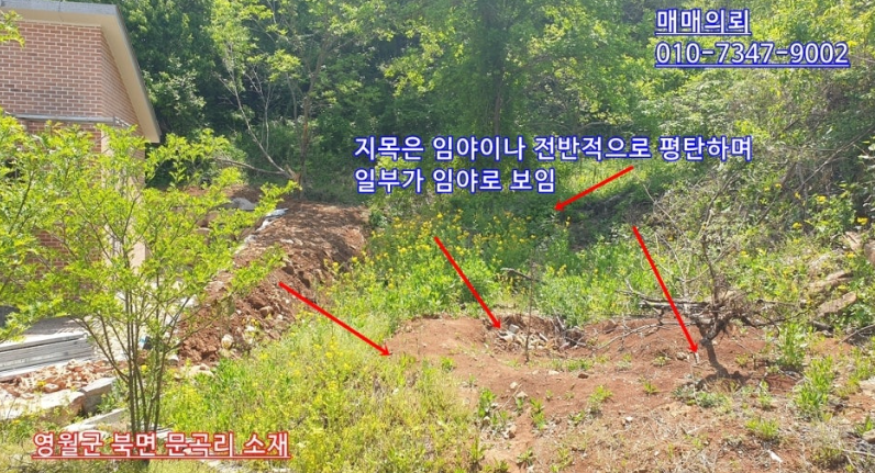 토지 사진 5