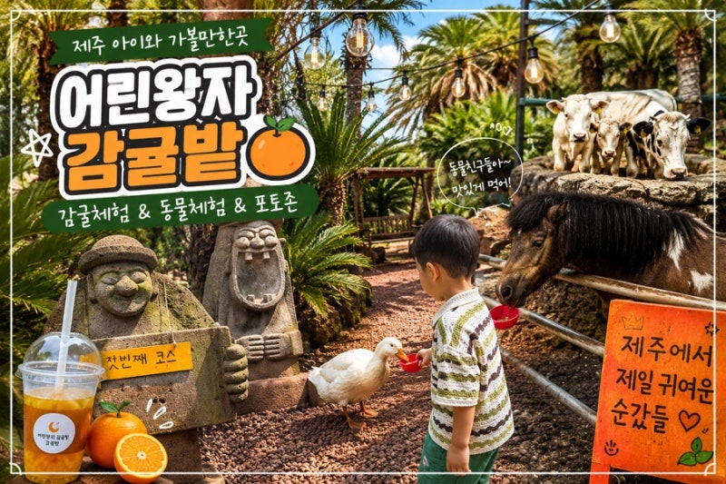 제주 || 감귤체험·동물먹이주기·인생사진까지 • 제주 아이와 가볼만한곳 추천! 어린왕자 ....