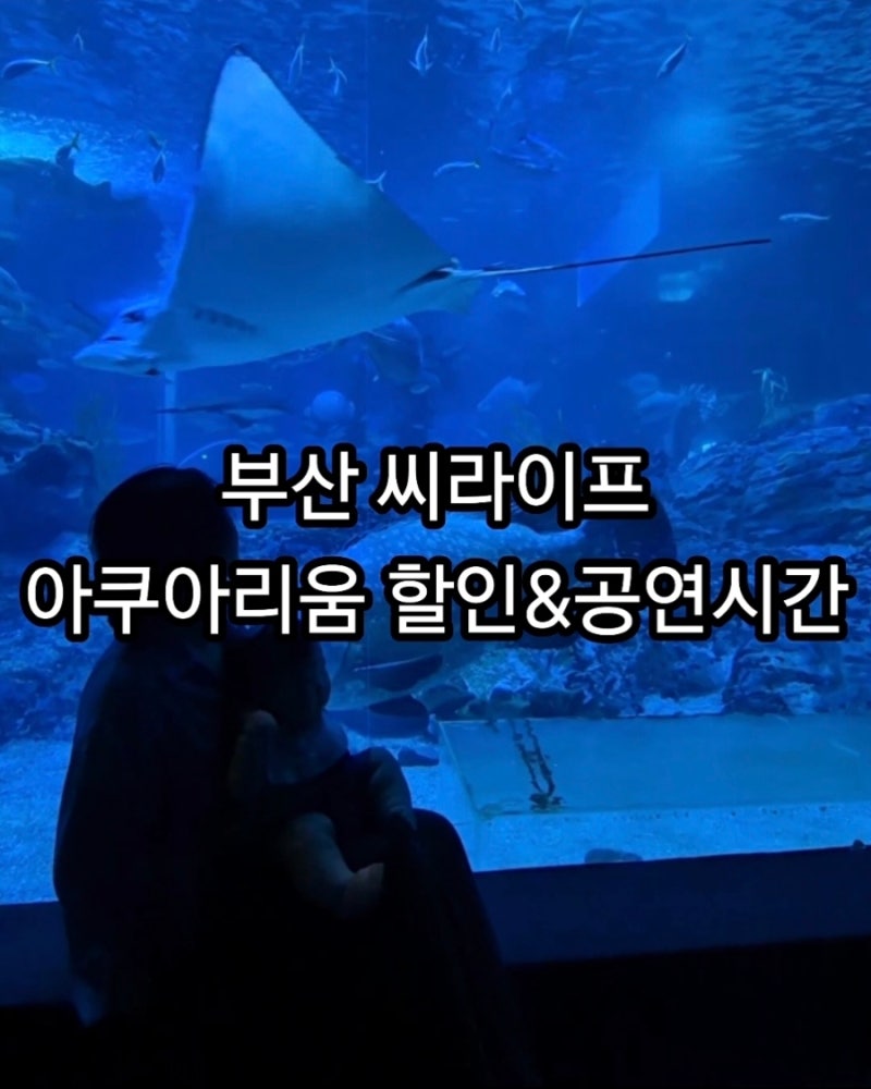 부산 해운대 여행 씨라이프 부산 아쿠아리움 아기랑 방문 | 공연시간 관람료 수유실 주차 할....