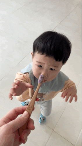 닥터노아 대나무 칫솔 사용 후기 / 칫솔 씹어먹는 아기들 추천!!! / 칫솔 관리팁 부터 아기 양....