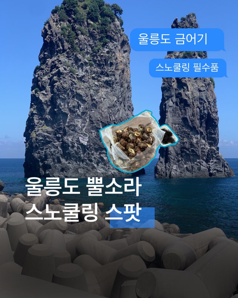 울릉도 스노쿨링 포인트 추천 울릉도 해루질 뿔소라 금어기
