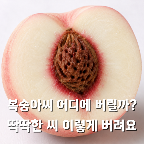 복숭아씨 분리수거 과일씨 버리는 방법 정답은?