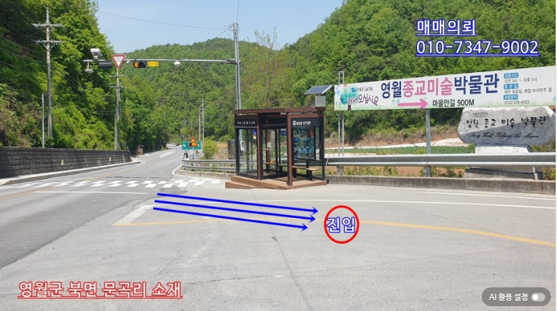 토지 사진 2