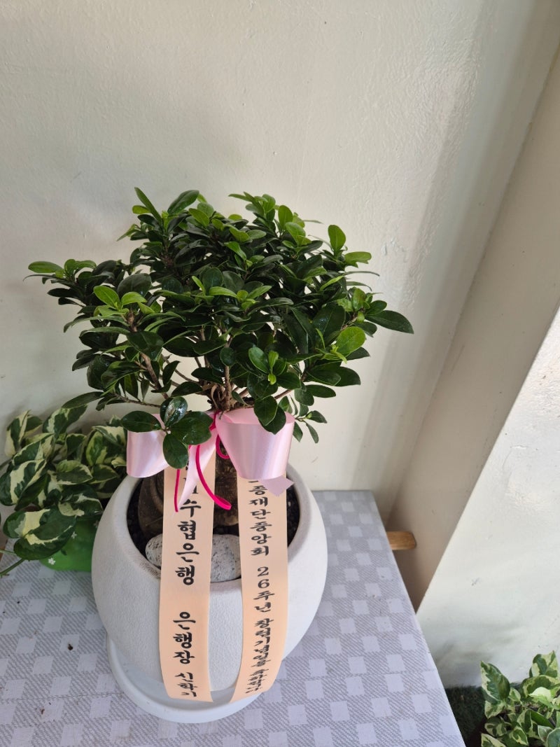 개업선물