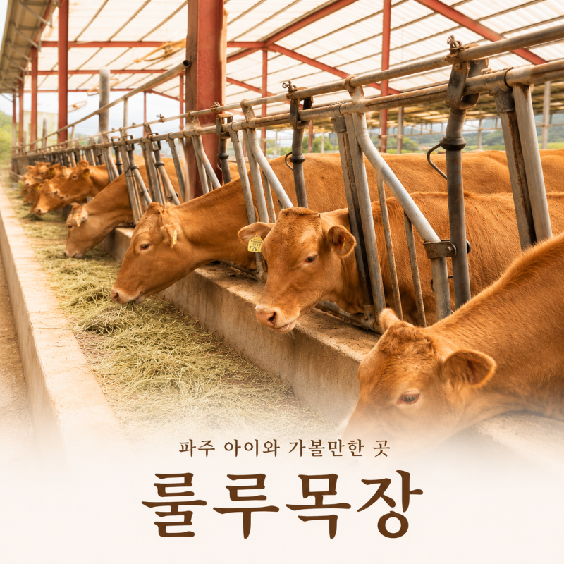 일산 근교 목장체험 추천, 아이와 다녀온 파주동물농장 룰루목장