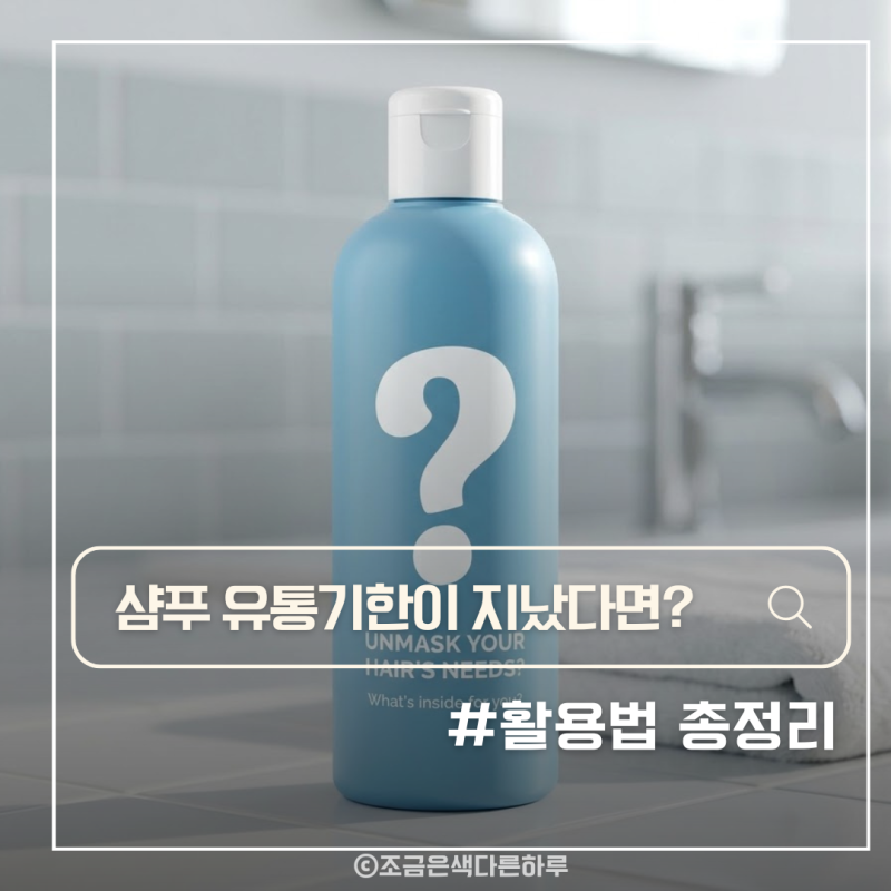 유통기한 지난 샴푸 버리지마세요 활용법 총정리