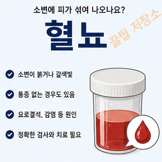 혈뇨란? 발생 원인, 연관 증상 및 대처방법