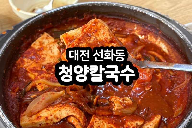 대전 선화동 맛집 '청양칼국수' 대전 여행 중 발견한 성심당 근처 두부두루치기 로컬 식당