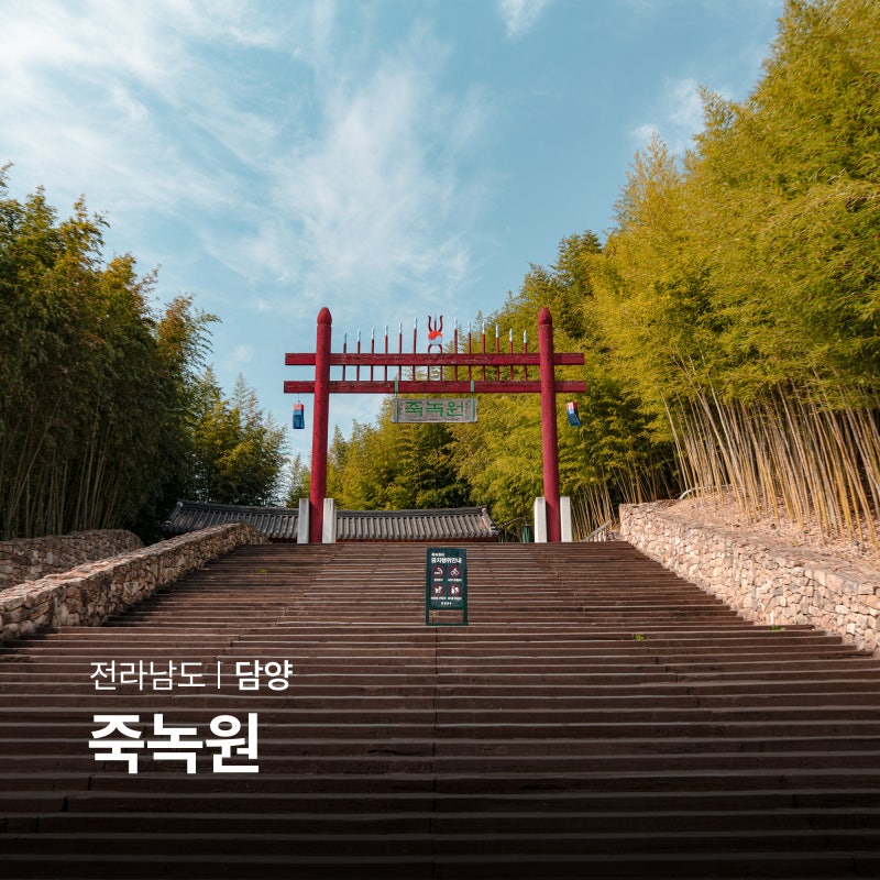 담양 여행지 추천 담양 죽녹원 대나무숲 데이트 국내 힐링 여행