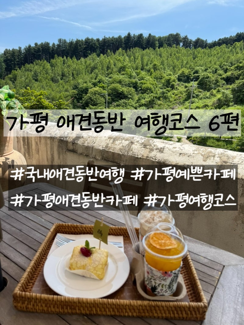 가평 애견동반 여행코스 6편 가평 애견동반 예쁜 디저트 카페 릴리