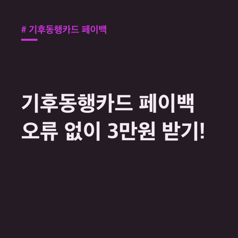 기후동행카드 페이백 신청, 오류 없이 3만원 받는 법!