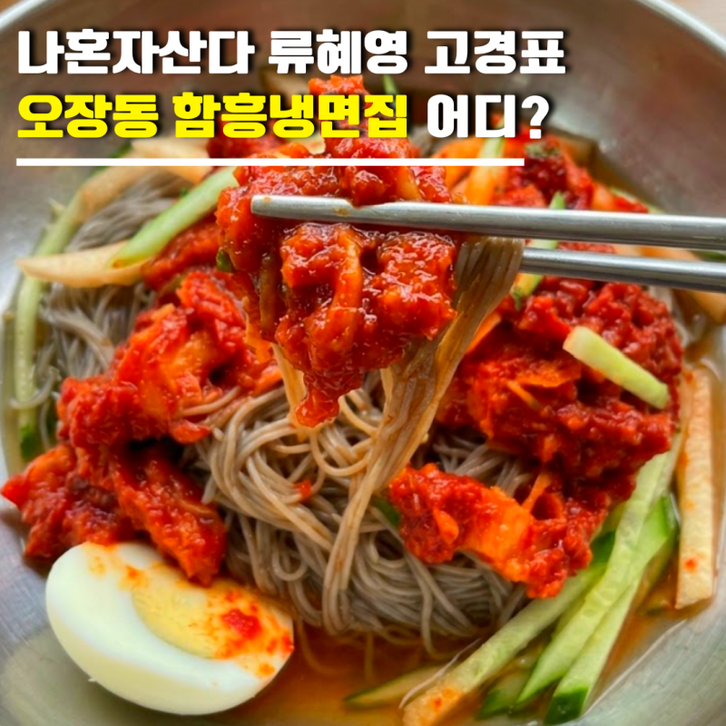 나혼자산다 류혜영 고경표 오장동 함흥냉면집 어디? 회비빔냉면 섞임냉면 물냉면 메뉴·가격