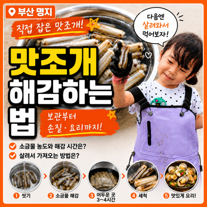 맛조개 해감하는 법｜갯벌에서 잡은 맛조개 살려오는 법과 보관까지