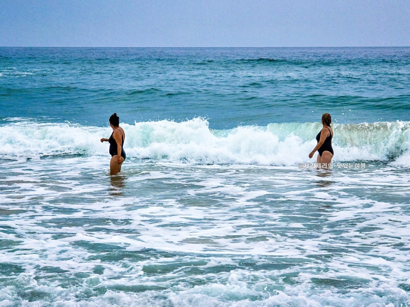 Top 3 Jumunjin Attractions in Gangneung: From Beaches to Jumunjin Port and Fishermen's Market