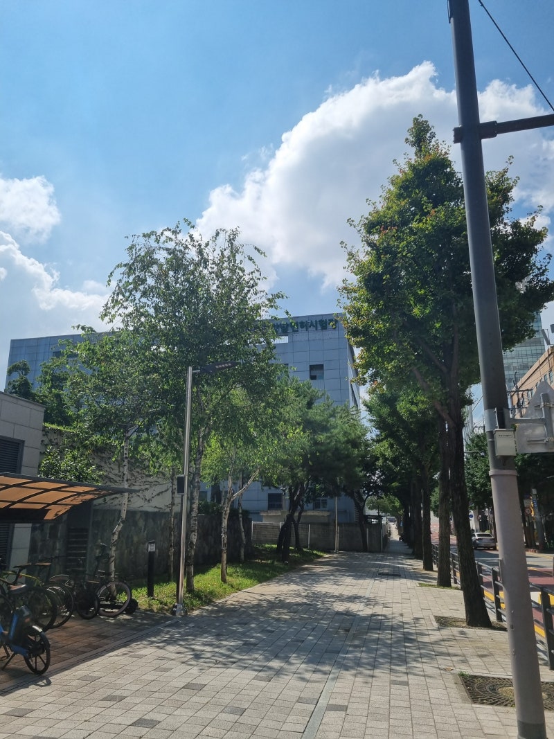 운전면허 2종보통 무사고, 1종보통으로 갱신