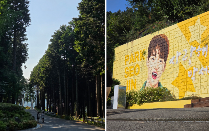 [경남사천] 가볼만한곳 추천, 케이블카자연휴양림 편백숲 &서진이네 건어물