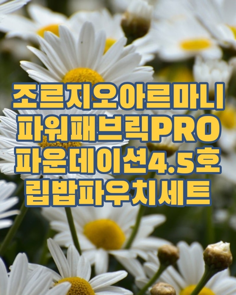 조르지오 아르마니 파워패브릭PRO 파운데이션 4.5호 립밤 파우치 증정 세트(feat.색상선택가이....