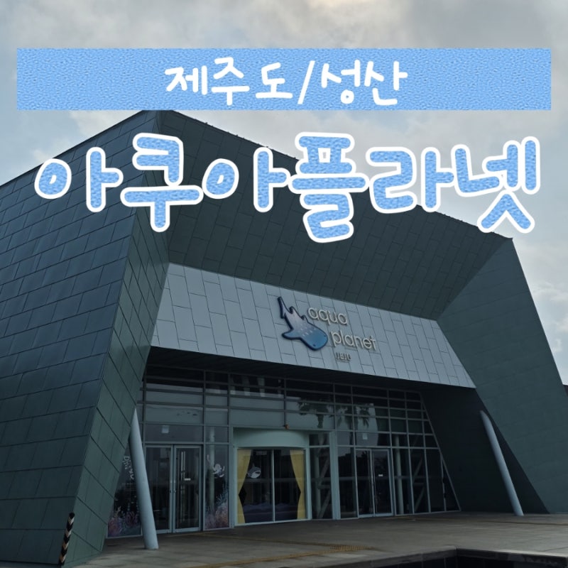 [제주도/성산] 아쿠아플라넷 | 투명보트(먹이체험)/비오는날 가기 좋은 실내/꿀팁