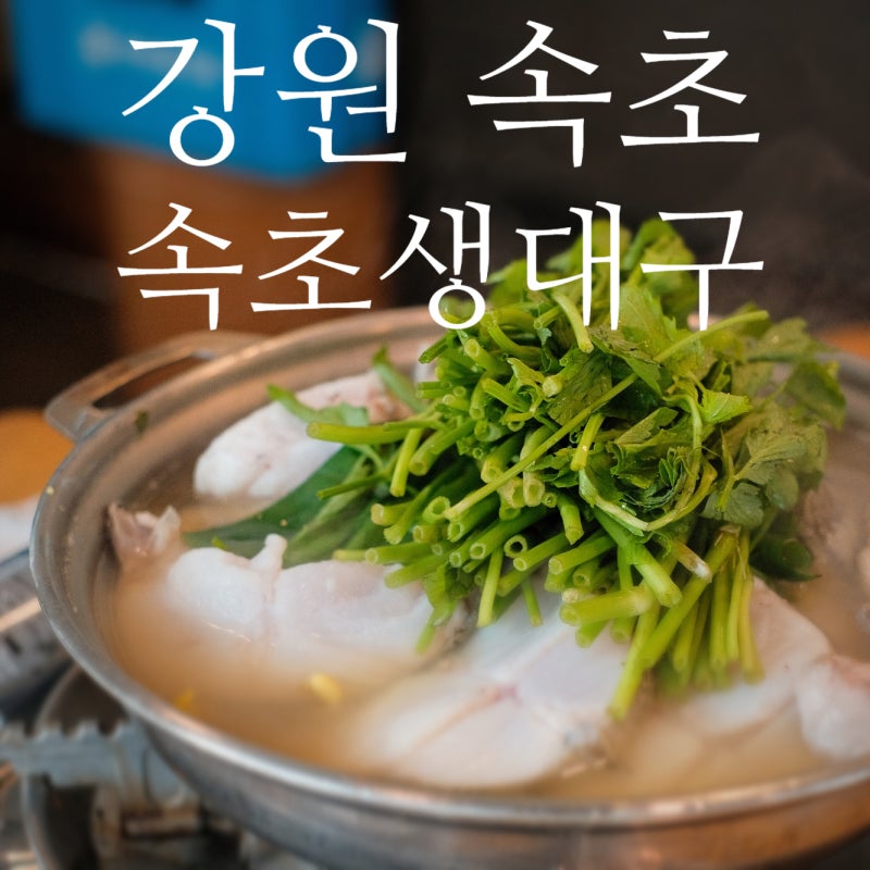 [강원/속초] 속초에서 꼭 먹어봐야 할 생대구탕 맛집, 속초생대구