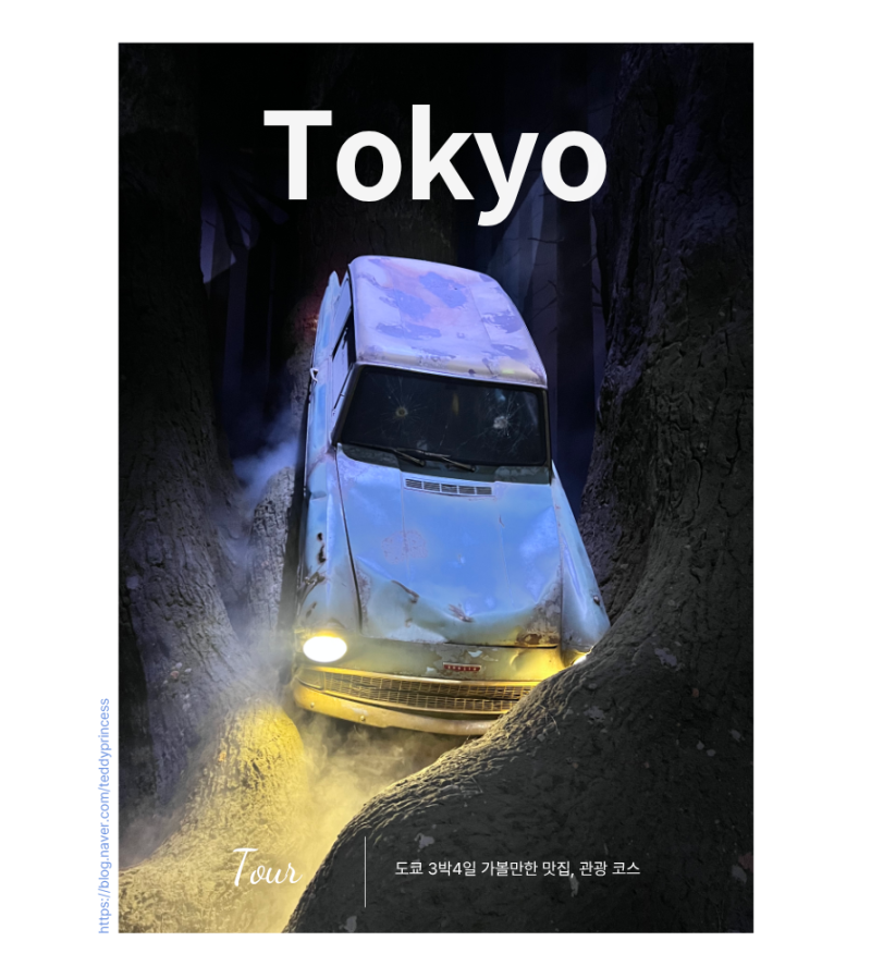 도쿄 3박4일 일정 가볼만한곳 맛집 관광지 추천 코스 5